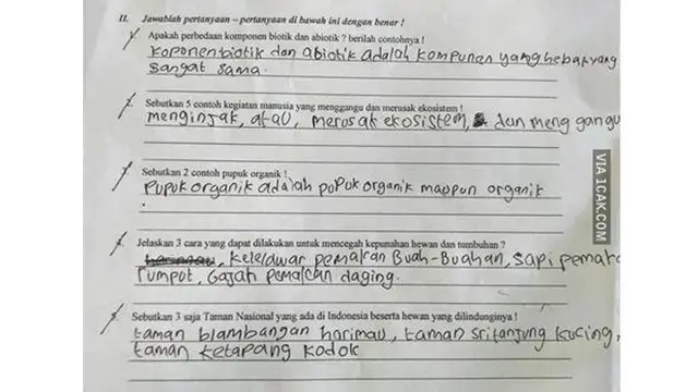 6 Potret Hasil Ulangan IPA Murid Dapat Nilai 0 Ini Bikin Guru Elus Dada