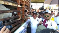 Mentan Syahrul Limpo: ASF Hanya Menyerang Babi di Sumut