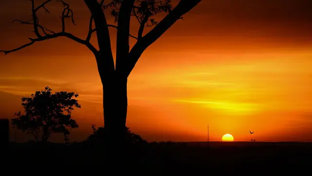 Ilustrasi senja, sunset, matahari terbenam