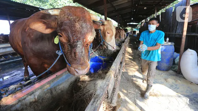 Distribusi Daging Qurban Atasi Warga Terdampak PPKM