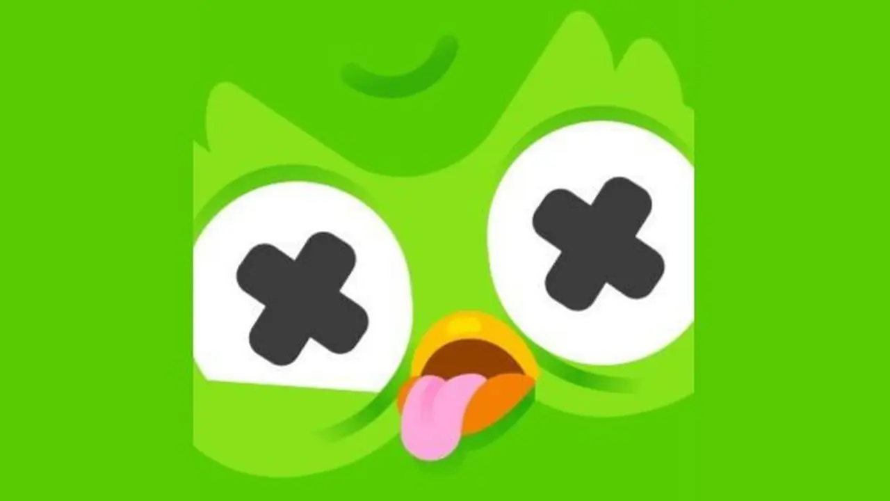 Burung hantu Duolingo mati