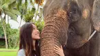 Pemeran Lulu di film Imperfect memang seorang pencinta binatang. Ia sangat suka dengan dengan binatang seperti gajah. Yasmin Napper bahkan tak ragu memeluk belalai gajah disertai dengan senyum lebar tanda ia begitu senang dekat dengan gajah. (Liputan6.com/IG/@yasminnapper)