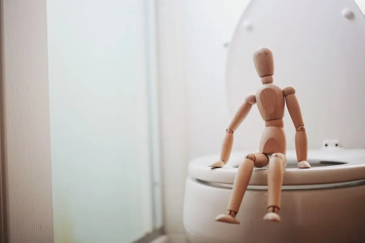Ilustrasi toilet