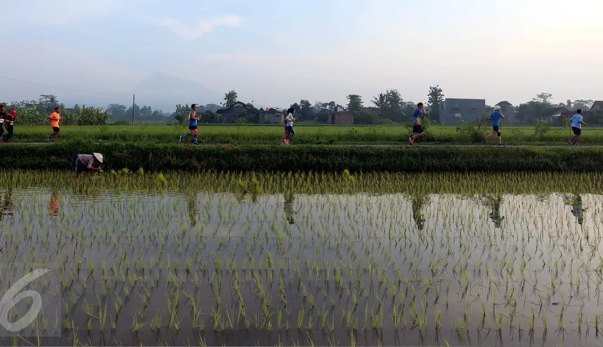 Para peserta mengikuti Mandiri Jogja Marathon 2017 di kompleks Candi Prambanan, Sleman, Minggu (23/4). Mandiri Jogja Marathon dibagi dalam beberapa kelas lari yakni jarak 42 km, jarak 21 km, jarak 10 km, dan jarak 5 km. (Liputan6.com/Johan Tallo)