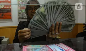 Petugas valas menghitung mata uang dolar AS di DolarAsia Valas di kawasan BSD, Tangerang Selatan, Banten, Selasa (16/4/2024). (merdeka.com/Arie Basuki)
