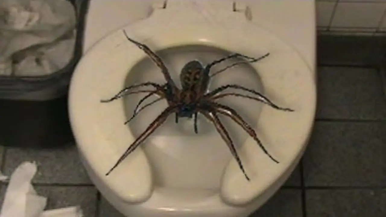 7 Toilet Ini Bikin Kamu Semangat untuk Menahan Pipis