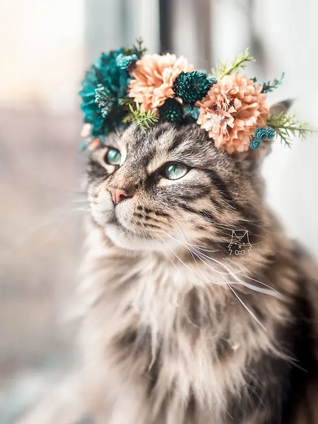Bikin Tambah Imut, Berikut 10 Potret Hewan dengan Flower Crown
