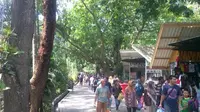  Para pengunjung memenuhi Kebun Binatang Gembira Loka, Yogyakarta. (Liputan6.com/Fathi Mahmud)