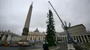 Sebuah derek mengangkat Pohon Natal, saat pemasangannya di Lapangan Santo Petrus di Vatican pada 22 November 2024. (Filippo MONTEFORTE/AFP)