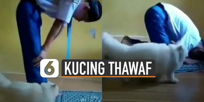 VIDEO: Kucing Muter-Muter saat Pemiliknya Sedang Salat