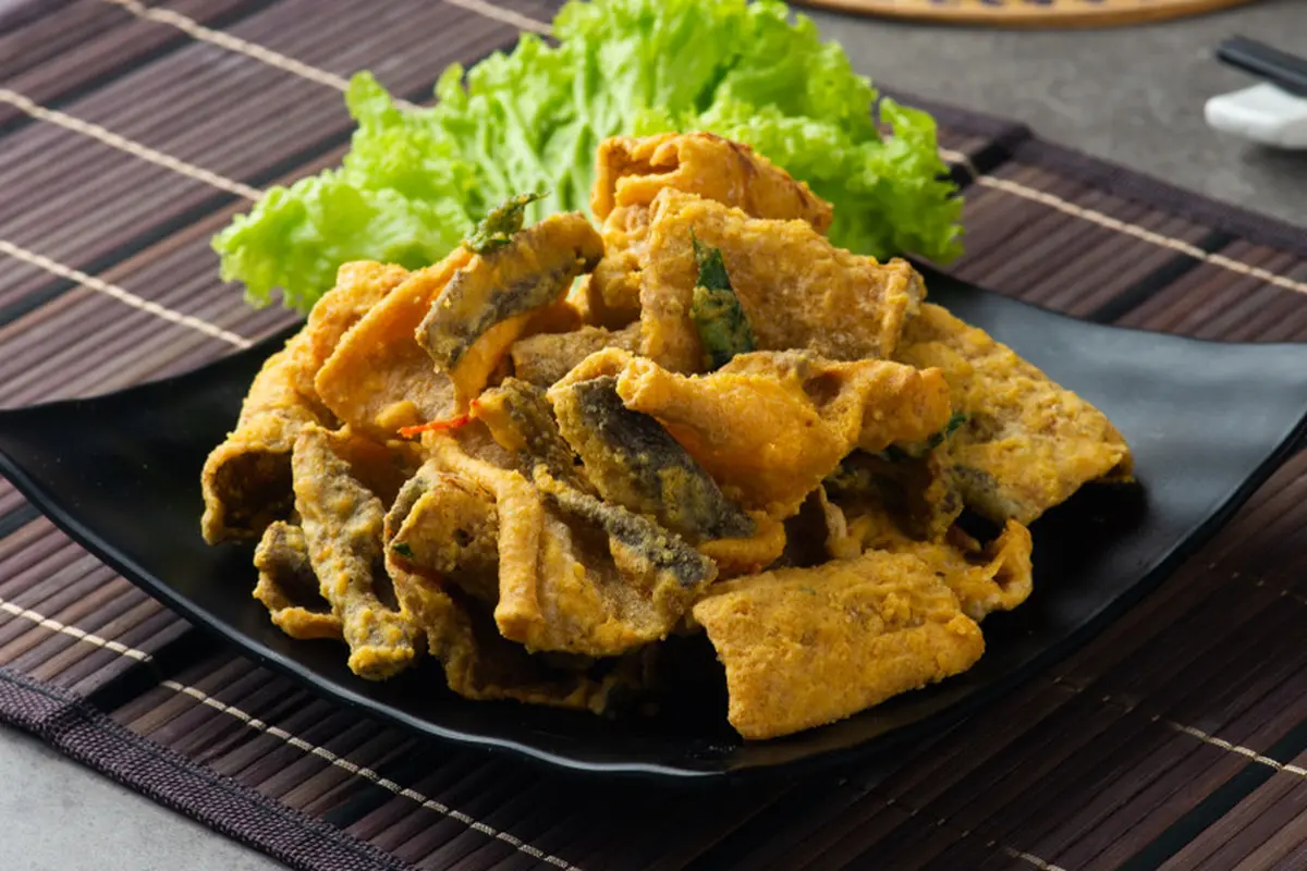 kulit ikan salmon
