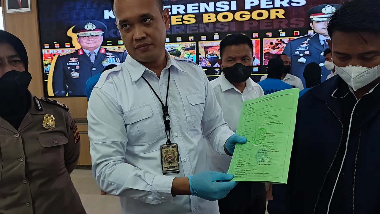 mafia tanah