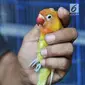 Peternak saat bermain dengan burung lovebird di sebuah peternakan kawasan Duren Sawit, Jakarta, Minggu (23/9). Burung lovebird memiliki harga jual mulai Rp 200 ribu hingga Rp 500 juta. (Merdeka.com/Iqbal Nugroho)