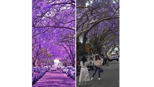 7 Potret Ini Buktikan Foto Instagram Sangat Jauh dari Realita