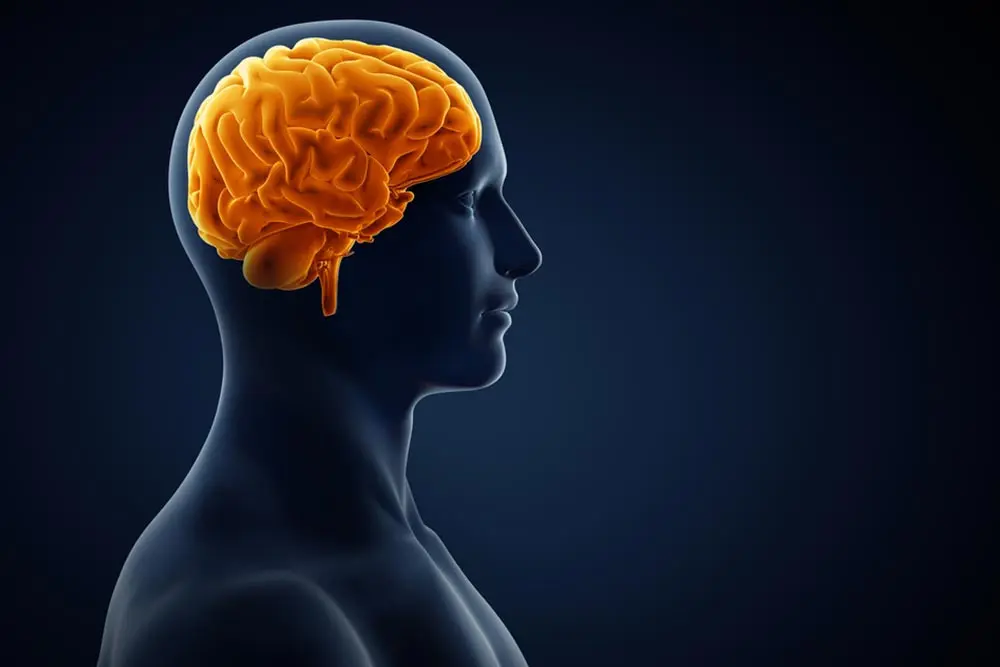Penyebab Perdarahan Otak yang Dialami Sir Alex Ferguson (Adike/Shutterstock)