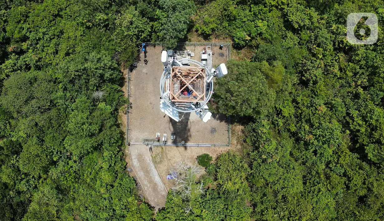 Foto udara teknisi melakukan pemeliharaan tower BTS 4G XL Axiata di Kuta Raya, Kayu Agung, Ogan Komering Ilir (OKI), Sumatera Selatan. Senin (13/3/2023). XL Axiata memastikan jaringan miliknya siap melayani kebutuhan pelanggan dan masyarakat selama Ramadhan hingga Hari Raya Idul Fitri 1444 Hijriah. (Liputan6.com/Herman Zakharia)