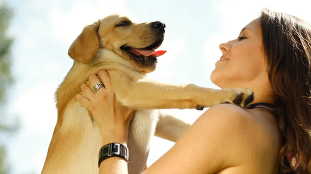 Courtesy ShutterStock.com