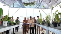 Pj Gubernur Sulbar berkunjung ke tempat budidaya anggrek (Foto: Liputan6.com/Istimewa)