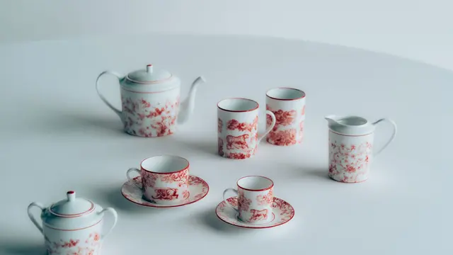 Dior Maison Toile de Jouy