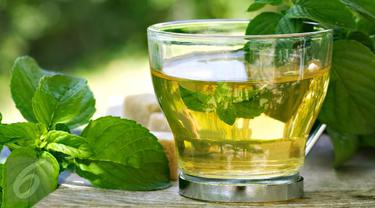 10 Herbal Ini bisa Bakar Lemak Tanpa Olahraga dan Diet – Aneka Ragam