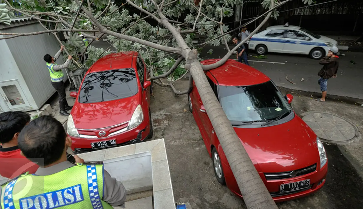 Dua mobil yang tengah terparkir tertimpa pohon tumbang di sebelah Pos Polisi Bundaran HI, Jakarta, Selasa (15/12). Tak ada korban jiwa akibat tumbangnya pohon yang disebabkan angin kencang tersebut. (Liputan6.com/Faizal Fanani)