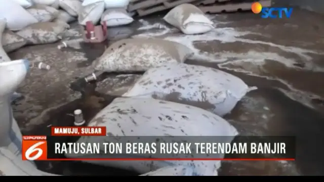 Ratusan ton beras di gudang bulog Mamuju, Sulawesi Barat, rusak dan membusuk setelah sempat terendam banjir bandang pekan lalu.