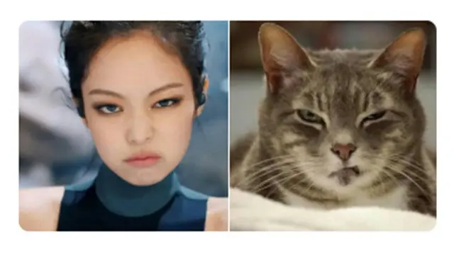 Ekspresi Jennie (Sumber: Twitter: /jenniesofty)