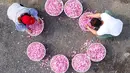 Petani memilah kelopak mawar yang dapat dimakan di Haian, Provinsi Jiangsu, China, Senin (14/5). (AFP)