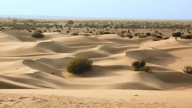 Selain Sahara, Ini Potret 10 Gurun Pasir yang Paling Menarik di Dunia