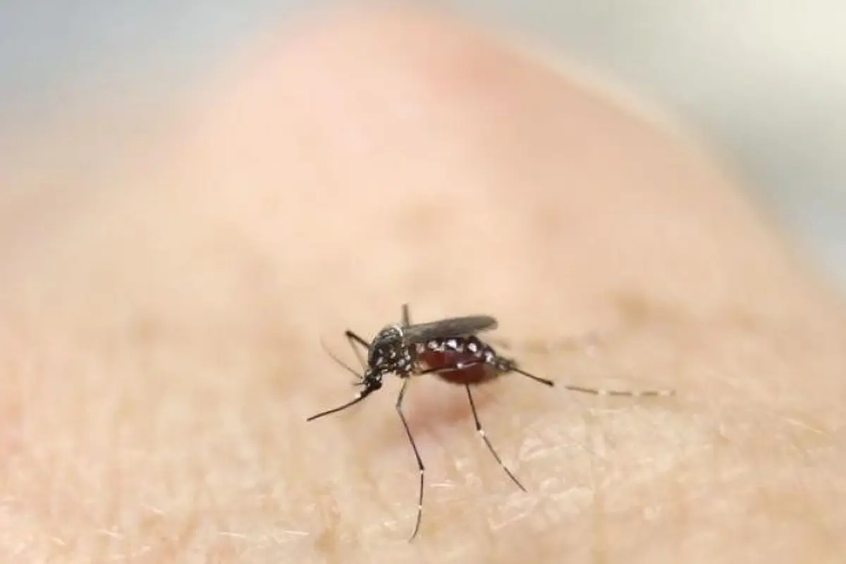 8 Cara Lindungi Keluarga dari Virus Zika