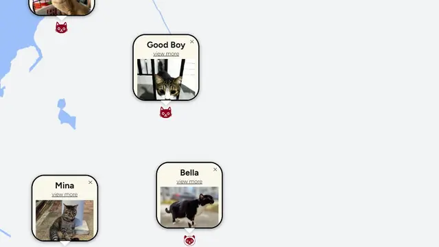 Peta Kucing Jalanan