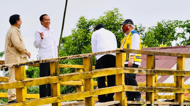 Presiden Jokowi Tinjau Lahan untuk Lambung Pangan Nasional