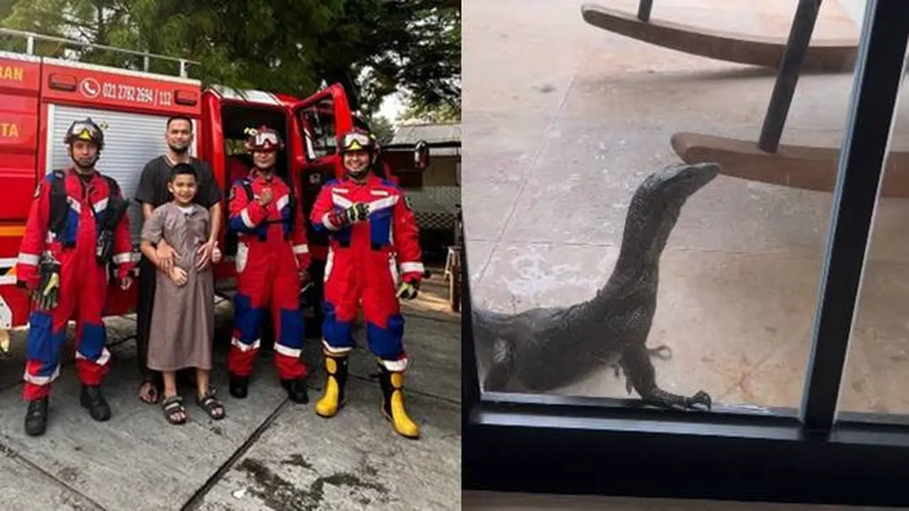 7 Momen Drama Rumah Teuku Wisnu yang Didatangi Biawak, Ujungnya Dievakuasi Damkar