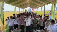 Lucky Hakim Genjot Pertanian Modern, Panen Padi Indramayu Tembus 10,45 Ton per Hektare