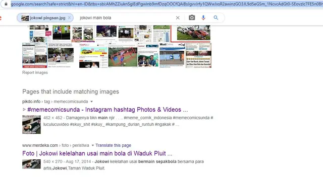 Hasil penelusuran Google Image