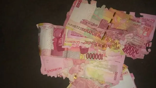 6 Momen Apes Uang Tabungan Dimakan Rayap Ini Bikin Nyesek Banget