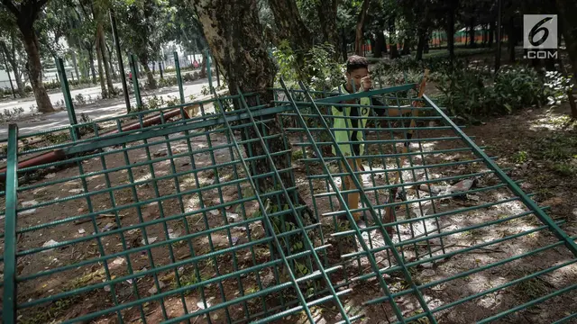 Pagar Tanaman di Stadion Utama GBK Rusak