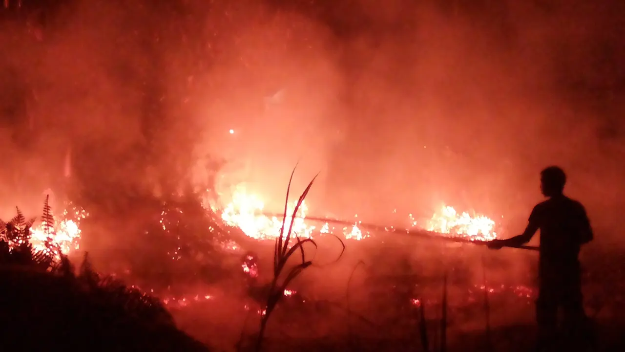 Kebakaran lahan