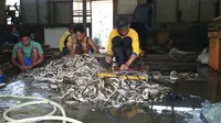 Sebagian besar warga Blok 03 Desa Kertasura Kecamatan Kapetakan Kabupaten Cirebon mengganguntkan hidupnya dari olahan kulit ular. Foto : (Liputan6.com / Panji Prayitno)