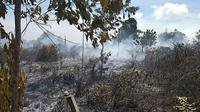 Luas kebakaran hutan dan lahan (karhutla) di Aceh per Januari-Agustus mencapai 379 hektare dengan jumlah 110 kali kejadian (Liputan6.com/Aceh)