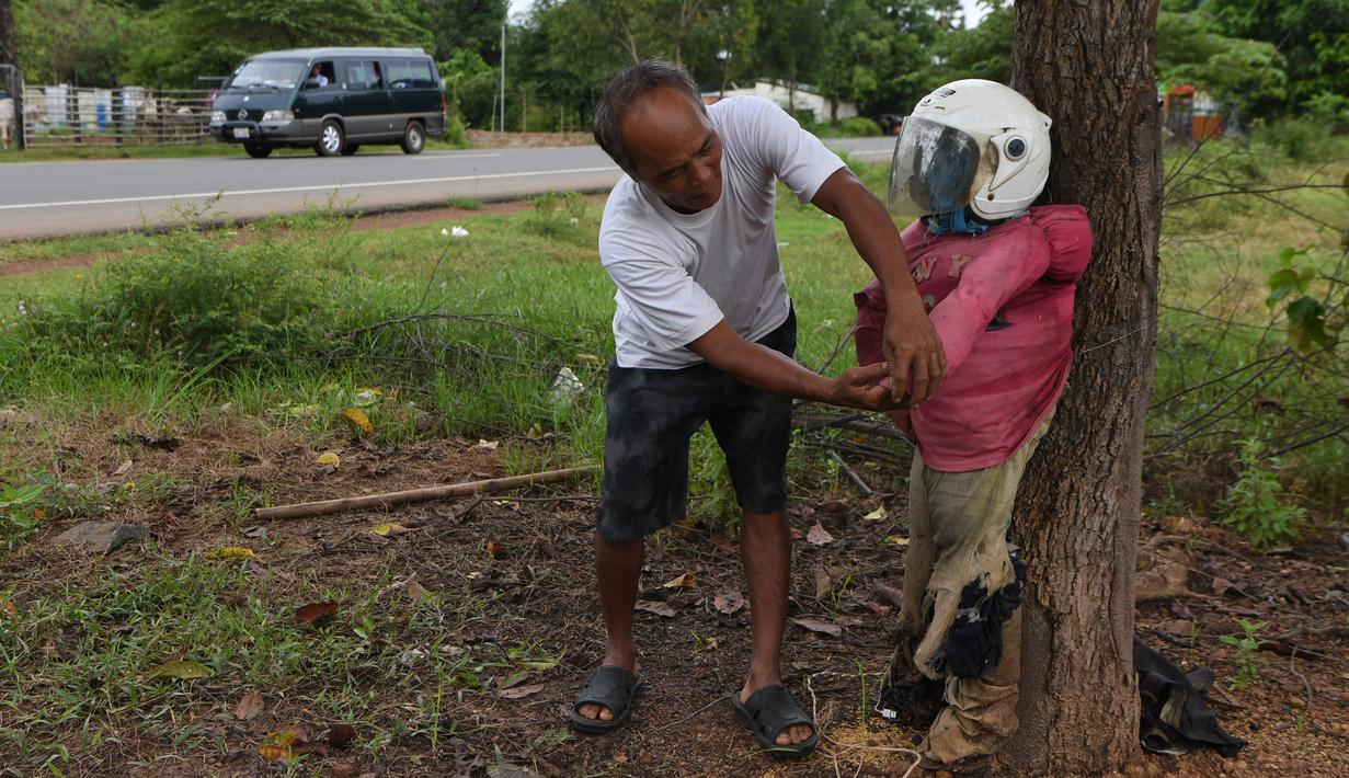 Seorang pria mendirikan orang-orangan sawah di depan rumahnya di provinsi Kampong Cham, Kamboja, 11 Oktober 2020. Penduduk di desa itu menggunakan orang-orangan sawah atau disebut juga Tim Mong untuk menangkal virus corona  Covid-19 berdasarkan kepercayaan yang mereka yakini. (TANG CHHIN Sothy/AFP)