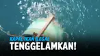 THUMBNAIL ILEGAL FISHING