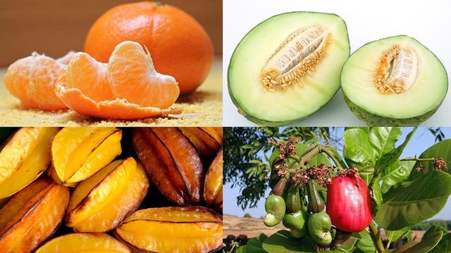 Jeruk Manis, Belimbing, Melon, dan Jambu Mete