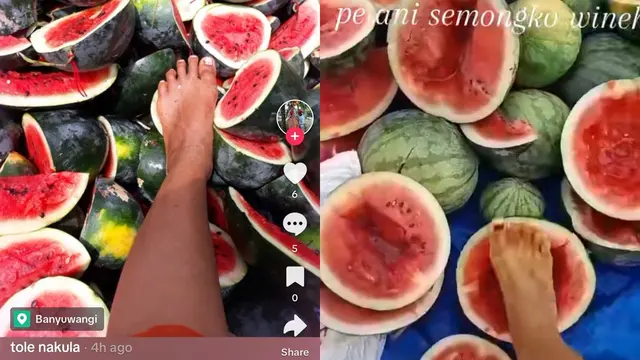 Aksi Petani Injak-Injak Semangka