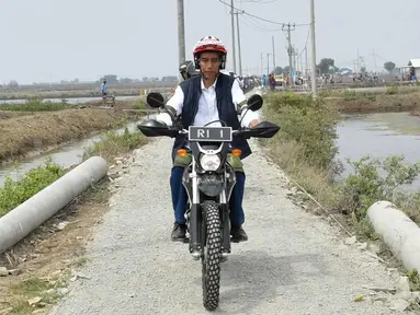 Presiden Joko Widodo mengendarai motor trail melintasi tambak udang di Muara Gembong, Bekasi (1/11). Jokowi menghadiri kegiatan Perhutanan Sosial untuk Pemerataan Ekonomi. (Liputan6.com/Biro Pers Kepresidenan/Agus Suparto)