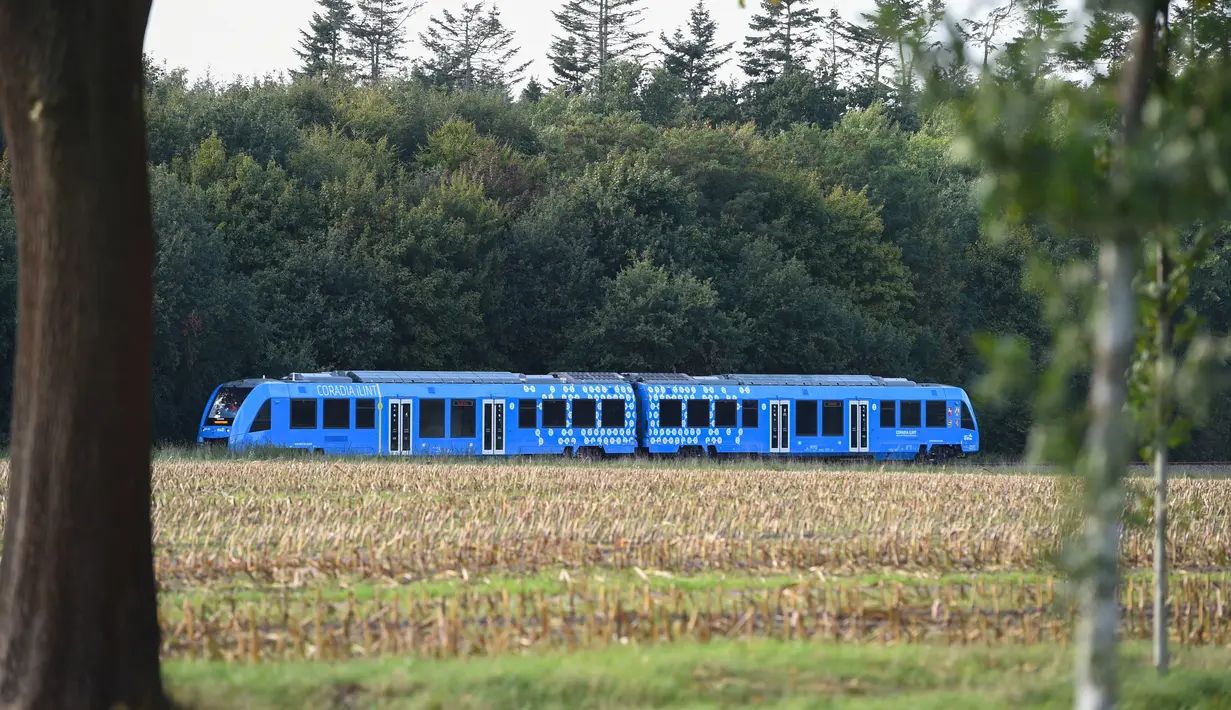 Kereta api bertenaga hidrogen menempuh rute perjalanan dekat Bremervrde di Jerman, 16 September 2018. Kereta Coradia ILint menggunakan sel bahan bakar yang mengubah hidrogen dan oksigen menjadi listrik. (AFP / Patrik STOLLARZ)