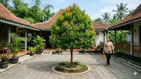 19 Jenis Pohon yang Akarnya Cenderung Aman untuk Halaman Berubin dan Bangunan