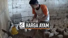 Guna mengurangi kerugian akibat anjloknya harga ayam, pengusaha bibit ayam memusnahkan DOC anak ayam. Harga ayam potong anjlok hingga Rp 9.000 /kg dari harga sebelumnya Rp 15.000/kg. Sementara peternak tradisional menghentikan kegiatan dan mengosongk...