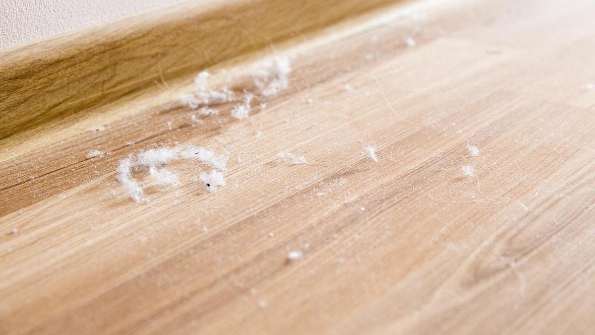 Debu Halus Selalu Kembali Meski Sudah Dibersihkan? Intip 6 Cara Efektif Menghilangkannya