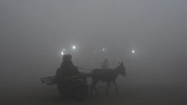 Kabut Tebal Melanda Lahore di Pakistan